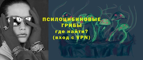 дмт Алзамай